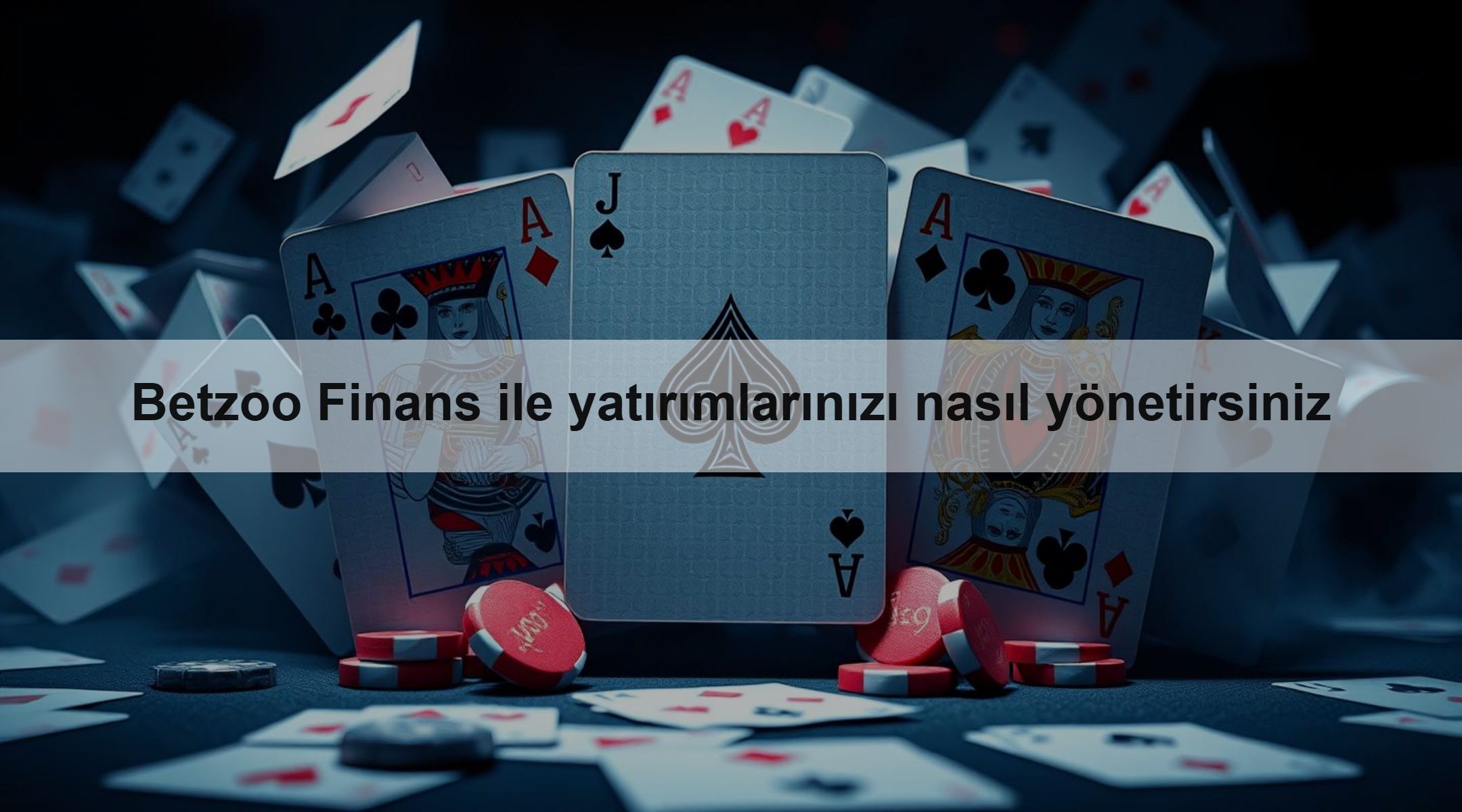 Betzoo Finans ile yatırımlarınızı nasıl yönetirsiniz